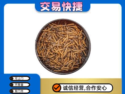 曲靖礼品回收虫草.jpg
